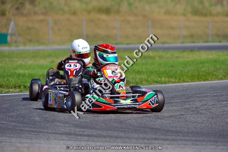 DSC_ (1260).jpg